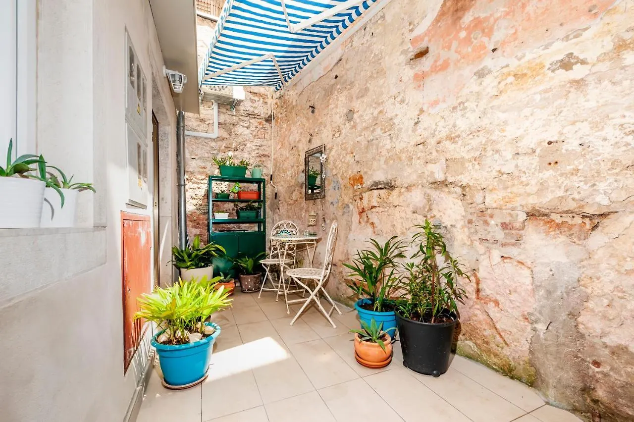 Apartment Amici With Terrace In Center Of Rovinj Croatia